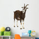 Toggenburg Goat against White Wall Decal