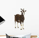 Toggenburg goat looking away Wall Decal