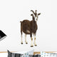 Toggenburg goat looking away Wall Decal