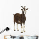 Toggenburg goat looking away Wall Decal