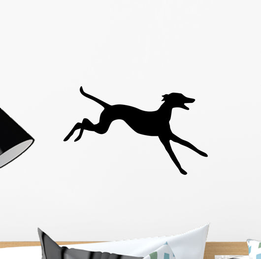 Hund