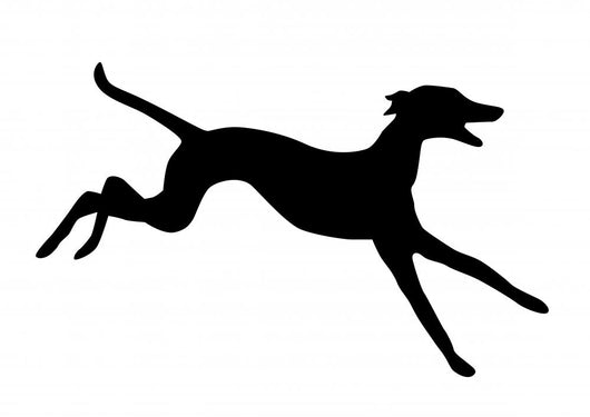 Hund