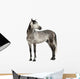 Grey Andalusian Horse Wall Decal