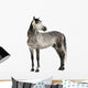 Grey Andalusian Horse Wall Decal