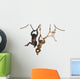 Young Orangutan Young Pileated Wall Decal