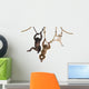 Young Orangutan Young Pileated Wall Decal