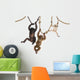 Young Orangutan Young Pileated Wall Decal
