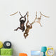 Young Orangutan Young Pileated Wall Decal