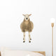 Front Sheep Looking Camera Wall Decal