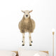 Front Sheep Looking Camera Wall Decal