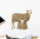 Sheep Standing Over Another Lying Wall Decal