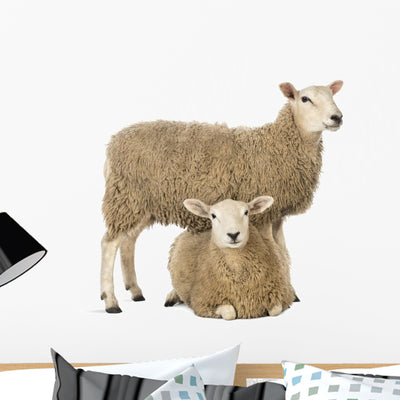 Sheep Standing over Another Wall Decal shown on a wall