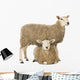 Sheep Standing Over Another Lying Wall Decal