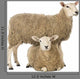 Sheep Standing Over Another Lying Wall Decal
