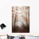 Path with Fog Forest