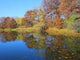 Fall Colors Thomas Lake Wall Decal