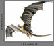 Flying Dragon Computer Artwork