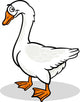 goose farm bird animal cartoon illustration Wall Decal