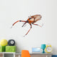 Snout Beetle Wall Decal