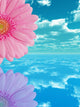 Pink flower Wall Mural