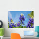 Bluebonnets