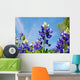 Bluebonnets