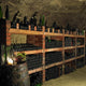 Wine Cellar Czech Repub