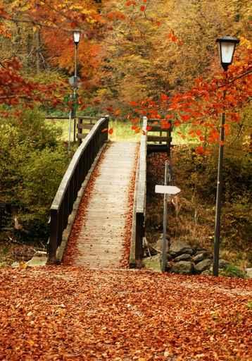 Autumn Bridge Wall Decal