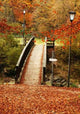 Autumn Bridge Wall Decal