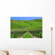 Vignes Californiennes Wall Decal