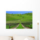 Vignes Californiennes Wall Decal