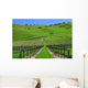 Vignes Californiennes Wall Decal