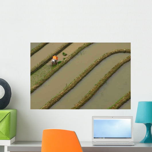 Yuanyang Wall Decal