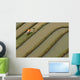 Yuanyang Wall Decal