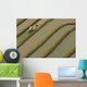Yuanyang Wall Decal