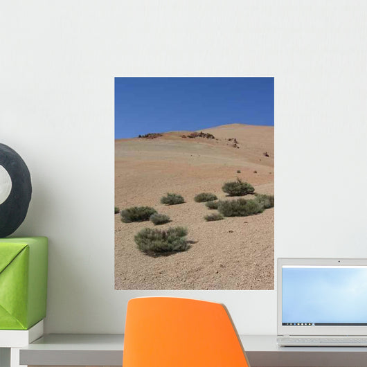 Drought Wall Decal