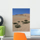 Drought Wall Decal
