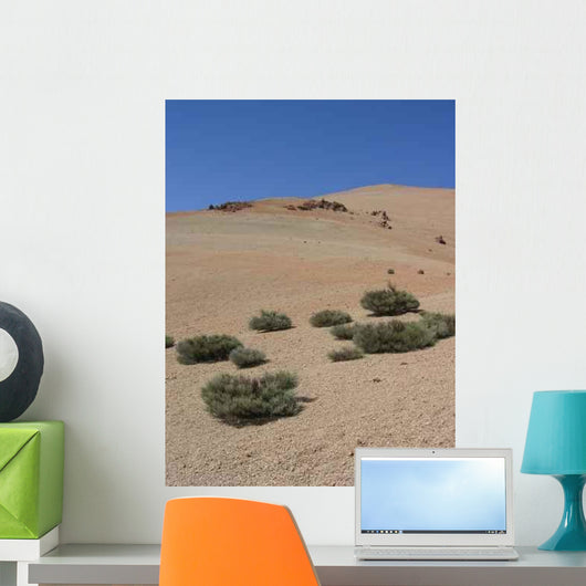Drought Wall Decal