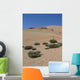 Drought Wall Decal