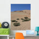 Drought Wall Decal