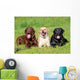 Three Labrador Retriever Dogs