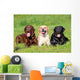 Three Labrador Retriever Dogs