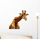 Giraffe Illustration Wall Decal