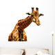 Giraffe Illustration Wall Decal
