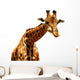 Giraffe Illustration Wall Decal