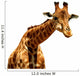 Giraffe Illustration Wall Decal