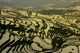 Yuanyang 4 Wall Decal