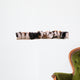 13 bÃ©bÃ©s cobayes alignÃ©s Wall Decal