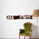 13 bÃ©bÃ©s cobayes alignÃ©s Wall Decal
