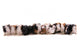 13 bÃ©bÃ©s cobayes alignÃ©s Wall Decal